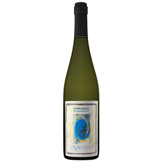 Antonucci - Verdicchio Castelli di Jesi DOC Pignocco - 2023 | 6er Karton