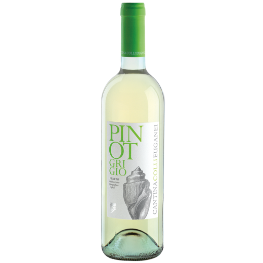 Cantina Colli Euganei - Pinot Grigio IGT - 2022 | 6er Karton