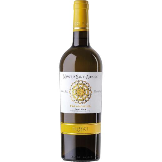 Nugnes - Masseria Santi Apostoli - Falanghina - 2023 | 6er Karton