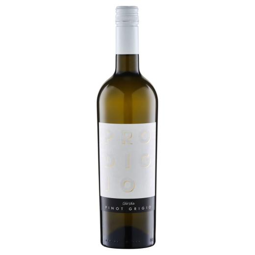 Prodigio del Sole Pinot Grigio Puglia IGP | 2023 | 6er Karton