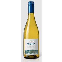 Thomas Walz Terroir Chardonnay Löss | 2023 | 6er Karton