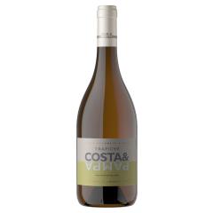 Trapiche Costa & Pampa Sauvignon Blanc | 2019 | 6er Karton