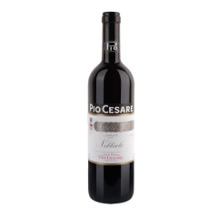 Pio Cesare - Nebbiolo Langhe DOC | 6er Karton