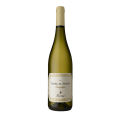 Rivera - Terre Al Monte Sauvignon Castel del Monte D.O.C. | 6er Karton