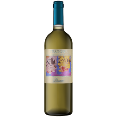 Parusso - Testone Nonsolobianco Vino Bianco - 2011 | 6er Karton