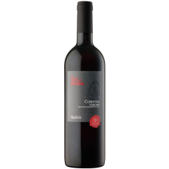 Cantina Valpantena - Corvina Torre del Falasco IGT - 2023 | 6er Karton