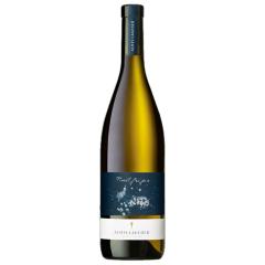 Alois Lageder - Pinot Grigio DOC - 2023 | 6er Karton