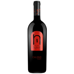 Nugnes - Caleno Falerno del Massico Riserva DOC - 2017 | 6er Karton