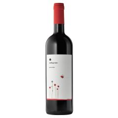 Roccafiore / Melograno Rosso IGT | 2022 | 6er Karton