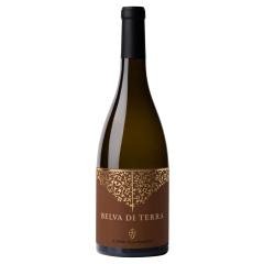 Il Conte / Belva d Terra Marche Sauvignon | 2022 | 6er Karton