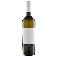 Prodigio del Sole / Pinot Grigio Puglia IGP | 2023 | 6er Karton