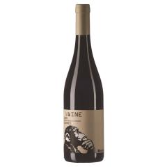 Federici  / WWWine IGT | 2022 | 6er Karton