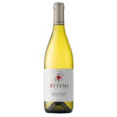 Frescobaldi Attems / Pinot Grigio Friuli DOC | 2023 | 6er Karton